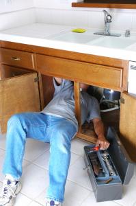 a garbage disposal repair without having a Centreville plumber